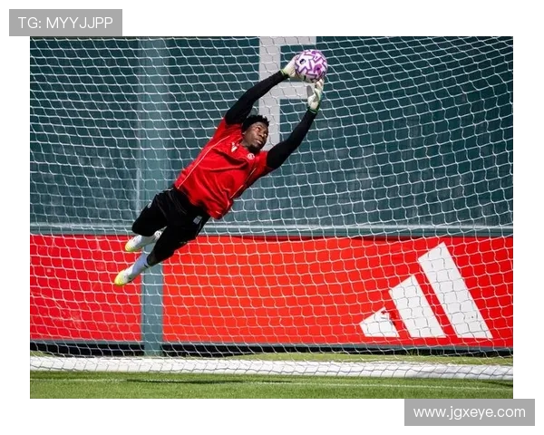 曼联新赛季备战全面展开 球员伤情更新与战术调整引关注